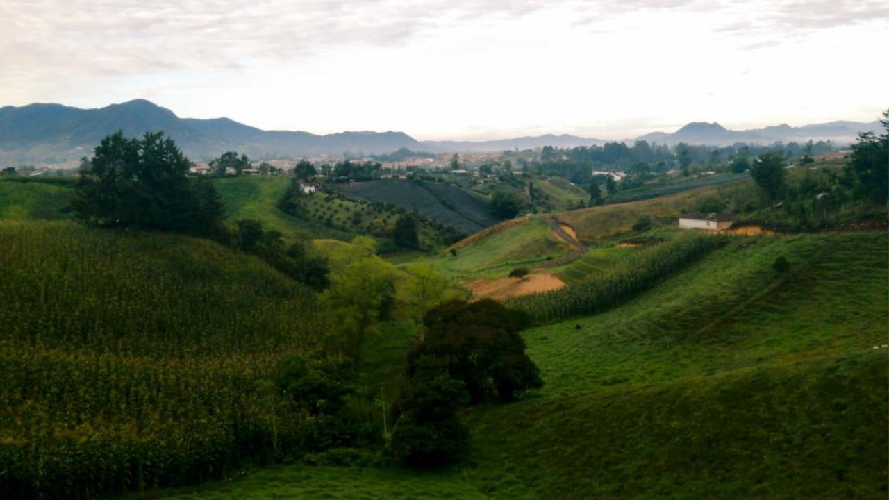 Vista Hermosa Eco Hostal Carmen de Viboral Eksteriør bilde